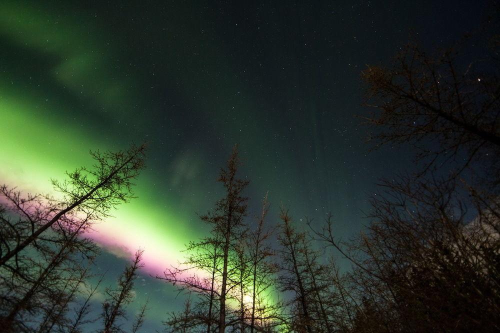 Готель Sundog Retreat Вайтгорс Екстер'єр фото