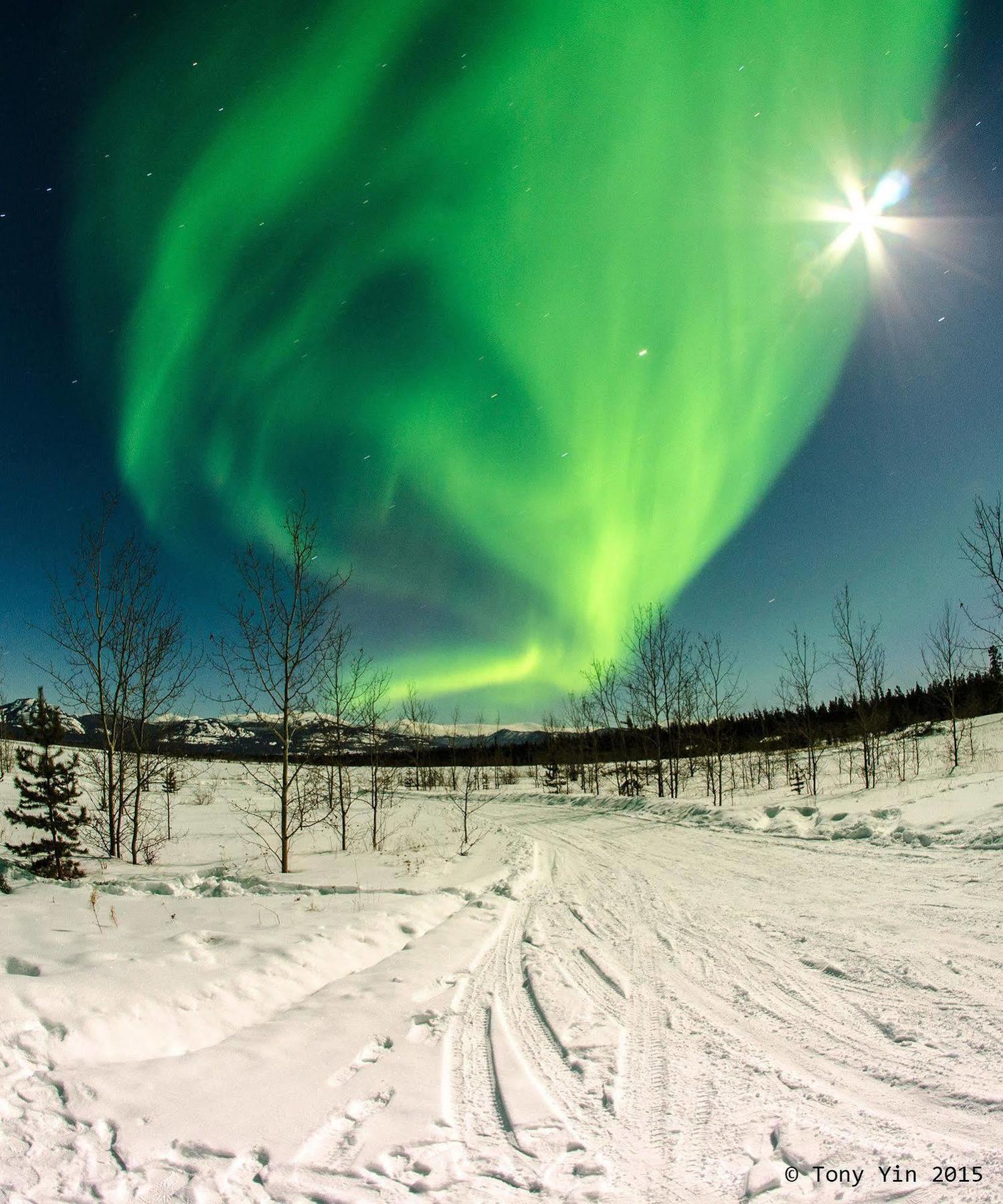 Готель Sundog Retreat Вайтгорс Екстер'єр фото